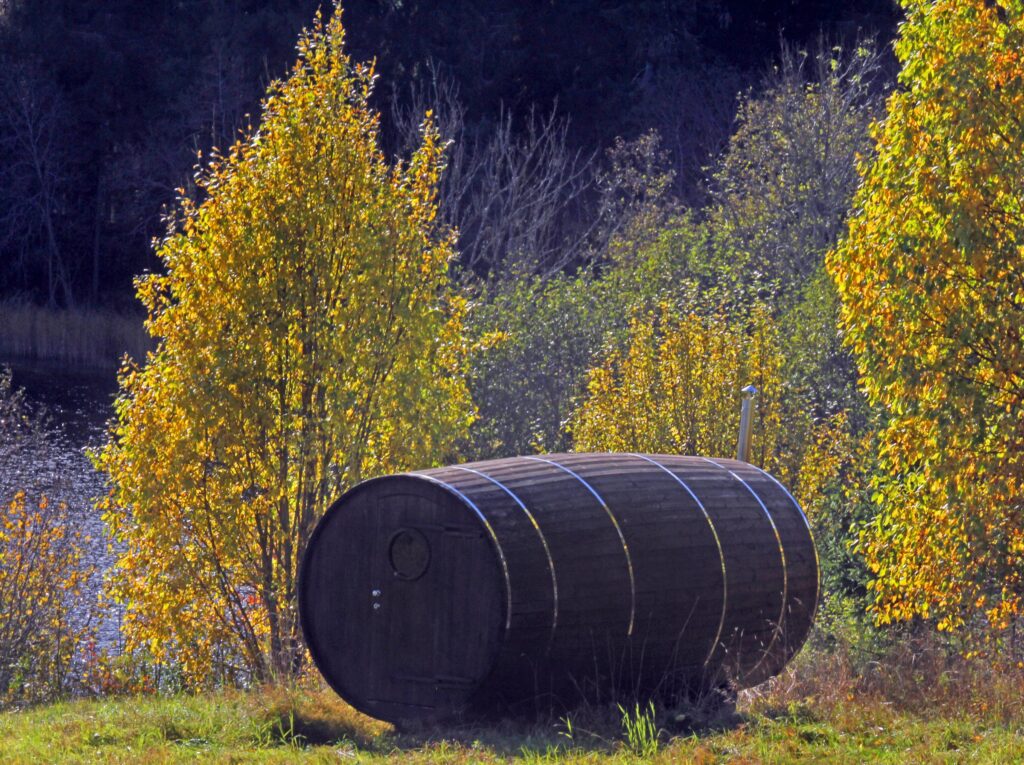 Dunkle Fasssauna mit Spannbändern zwischen herbstlichen Birken